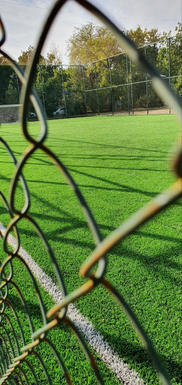 229-maktab stadion - 3 rasm