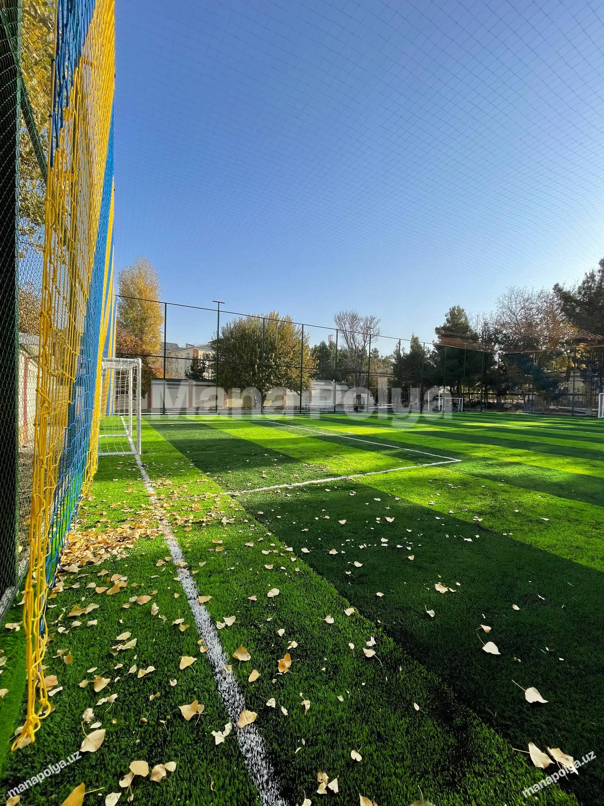 Malika, Tibbiyot kolleji stadioni - 2 rasm